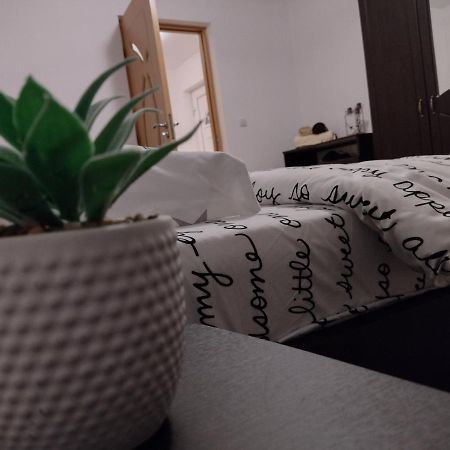 Casa Anastasiei Brasov Ngoại thất bức ảnh
