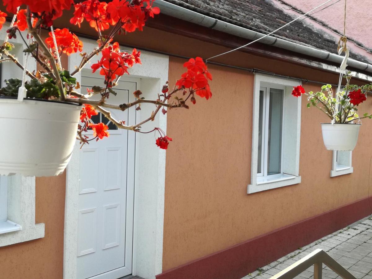 Casa Anastasiei Brasov Ngoại thất bức ảnh