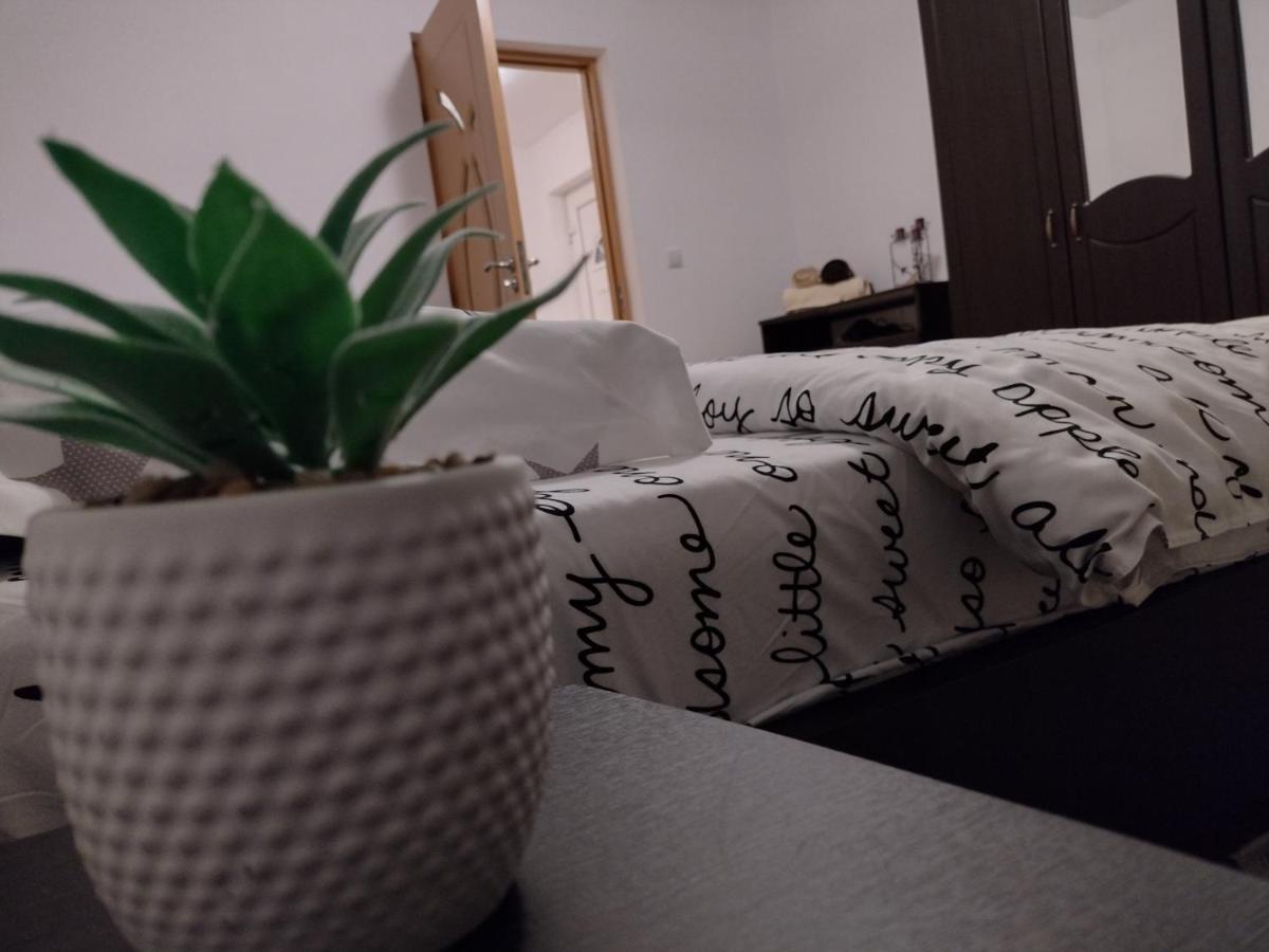 Casa Anastasiei Brasov Ngoại thất bức ảnh
